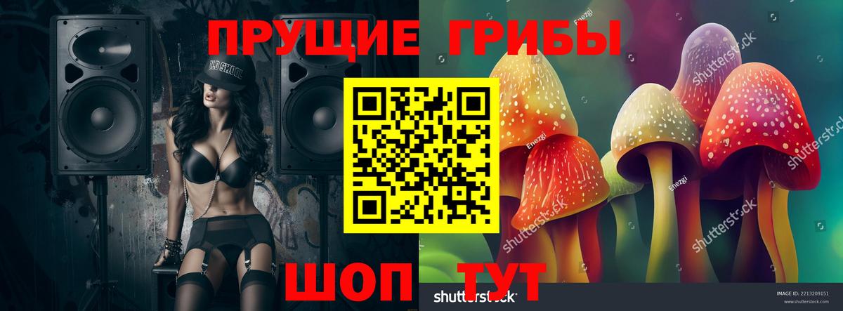Галлюциногенные грибы мицелий Солнечногорск