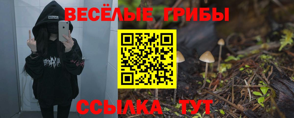 Псилоцибиновые грибы Magic Shrooms  Вход с VPN  Солнечногорск 